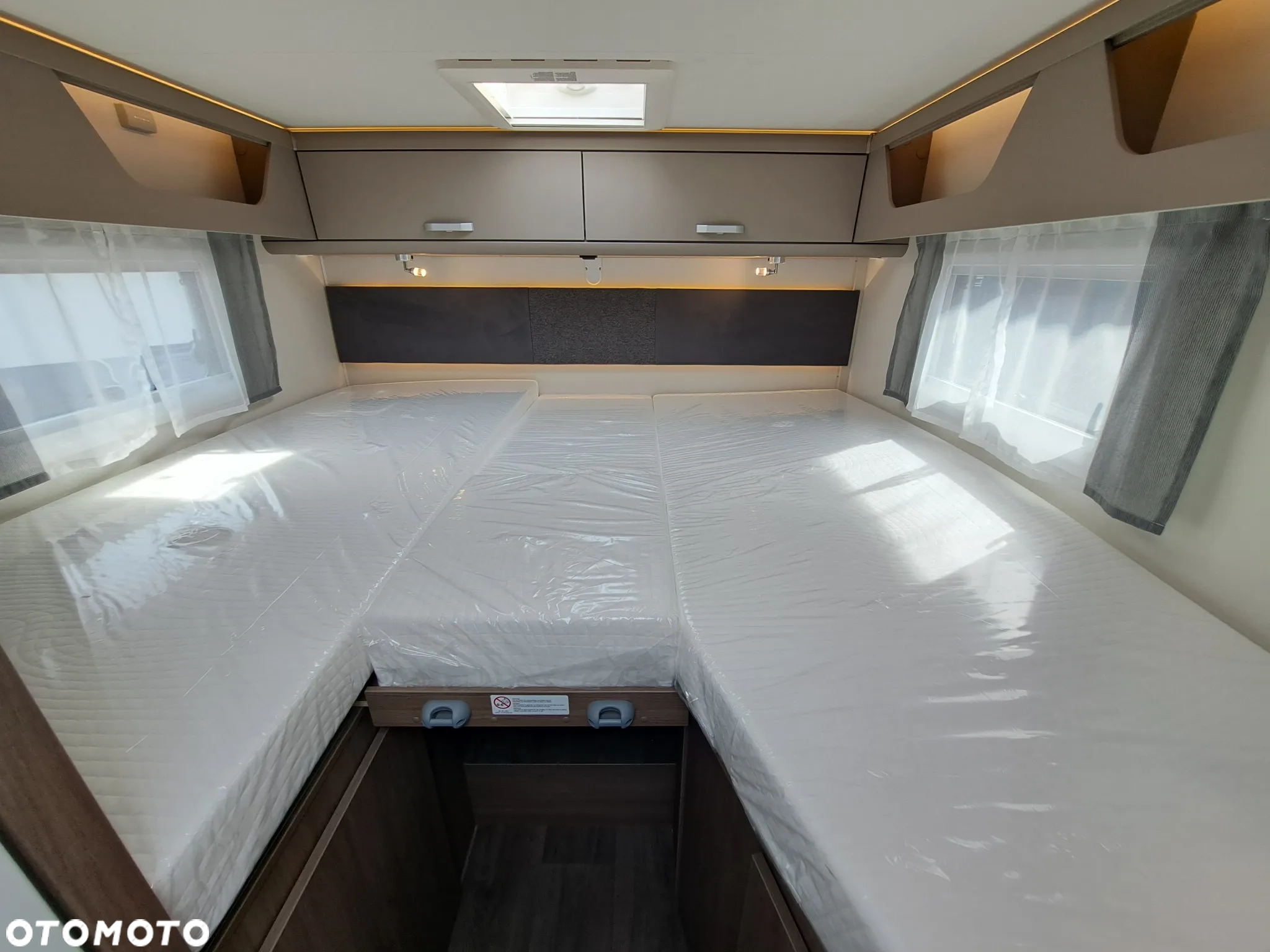 Galeria Carado T338 Edition26