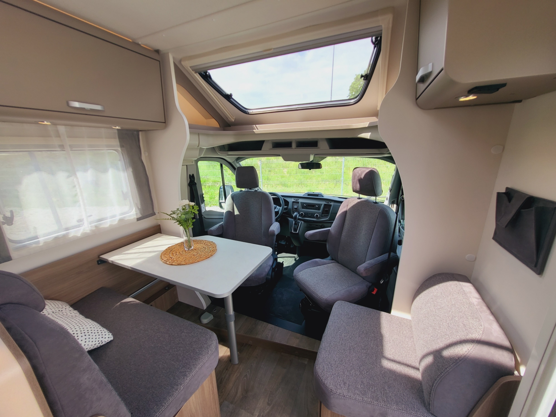 Galeria Carado T447 Edition24