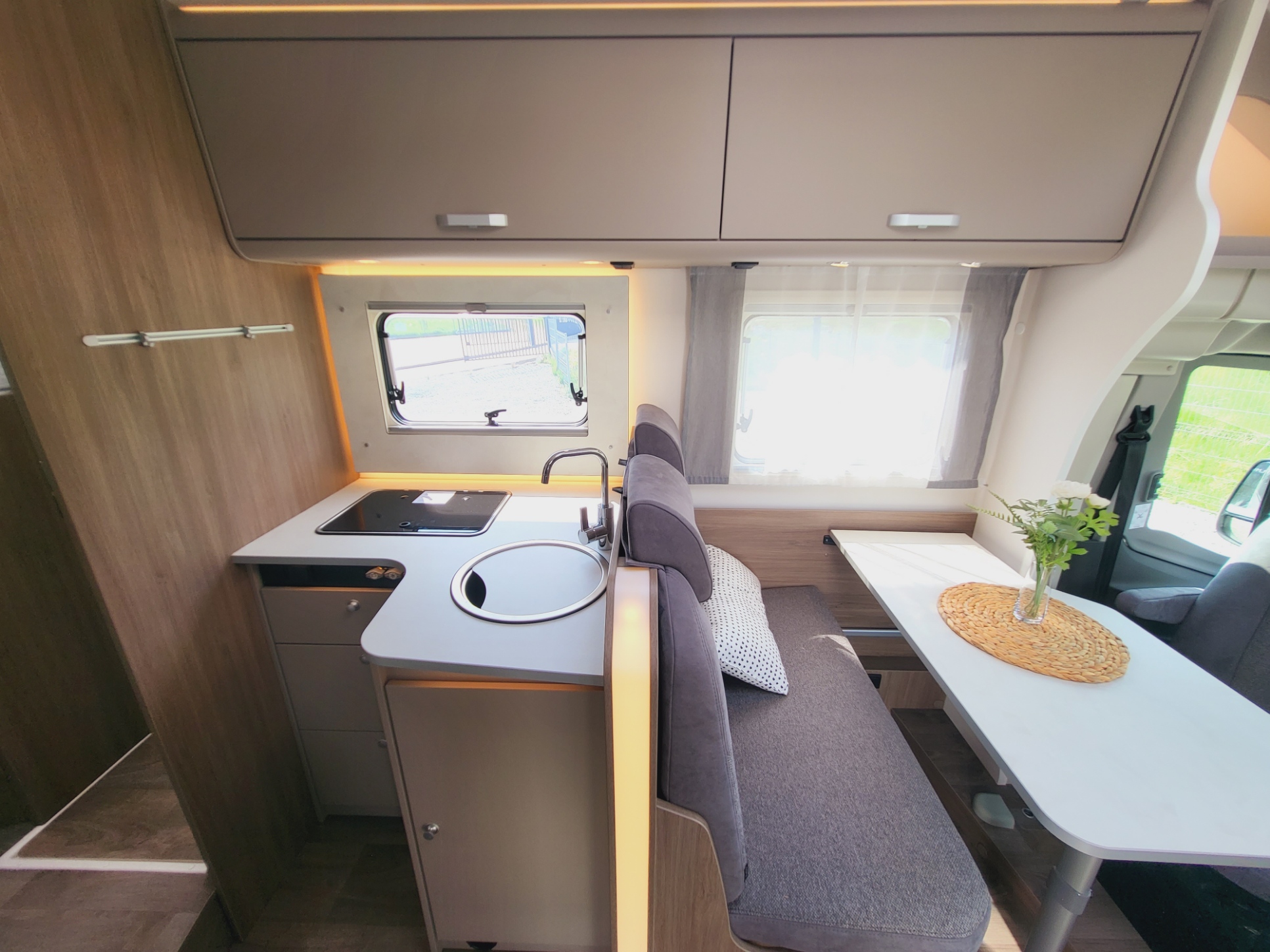 Galeria Carado T447 Edition24